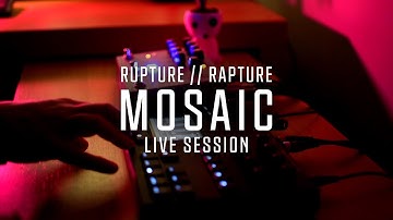 Mosaic // Torso S4 & Microcosm //