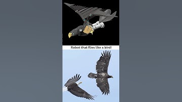 Robotic Bird 🦅 Flying Eagle 👍✅ #caddesign #birds #robotics #flyingeagle #3ddesign #solidworks #cad