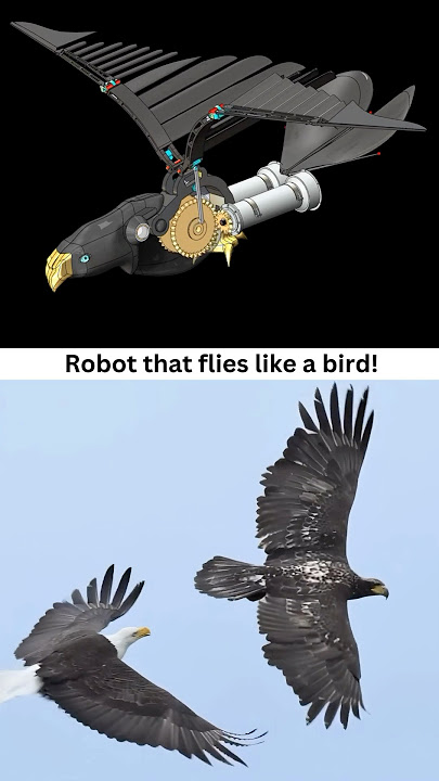 Robotic Bird 🦅 Flying Eagle 👍✅ #caddesign #birds #robotics #flyingeagle #3ddesign #solidworks #cad