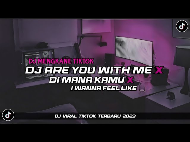 DJ ARE YOU WITH ME X DIMANA KAMU X I WANNA FEEL LIKE VIRAL TIKTOK | DJTRABAS class=