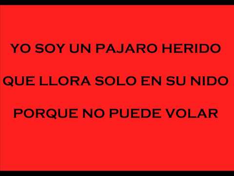 Rolando Laserie 'Hola