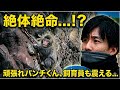 【パンチくん🐵】飼育員さん見守る中必死に食らいついた！ご褒美は熱い抱っこ♡