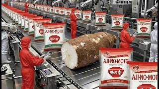 Inside the Giant Ajinomoto Factory The Technology for Producing MSG from Cassava Full Process