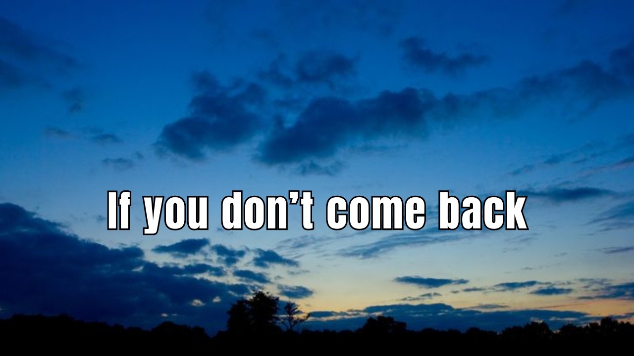 If you don’t come back | Echoes of Code