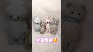 moriのえほん 小さい動物たち》ぬいぐるみ作家 森田寛子さんのガチャ