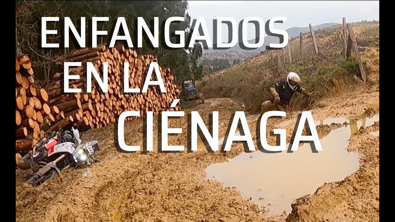 Enfangados en la ciénaga.