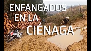 Enfangados en la ciénaga.