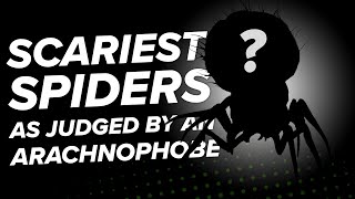 Worst Spiders In Games, Ranked By An Arachnophobe  The Return