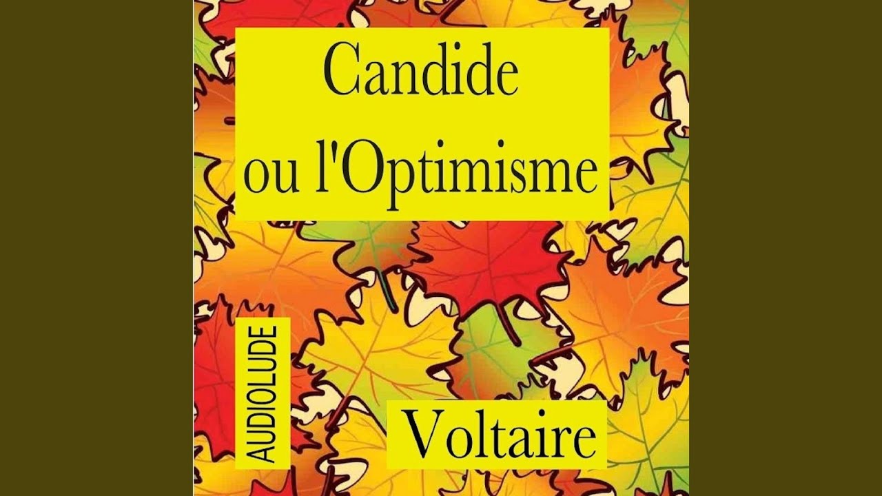Candide Ou L Optimisme Résumé Chapitre Par Chapitre
