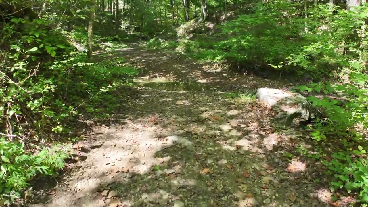 460 Cow Creek Rd Ravenna, KY 40472