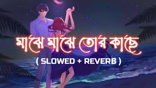 Majhe Majhe Tor Kache [ Slowed   Reverb ] | Love Express #Bengali_Jukebox_LoFi