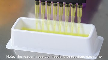 Vazyme Anti-SARS-CoV-2 Neutralizing Antibody (ELISA Kit) Operation Flow