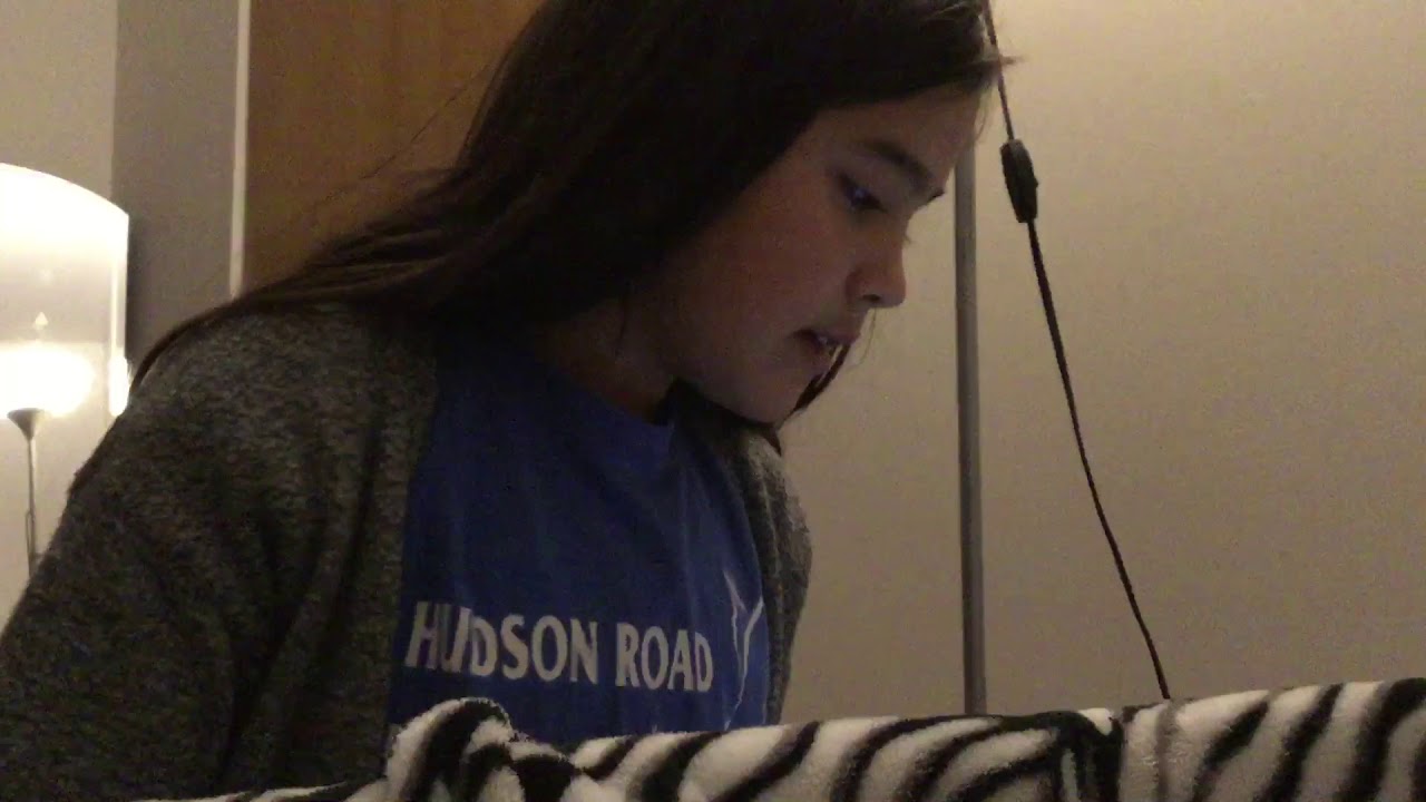 How to test if your cats pregnant YouTube