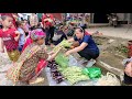 Long Bean Harvest & Eggplant Goes to the Market To Sell | Lý Thị Ca