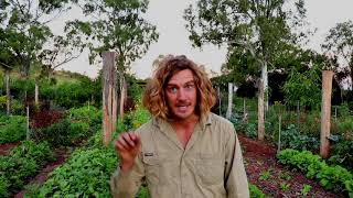 How Closed-Loop Systems Can Save The World