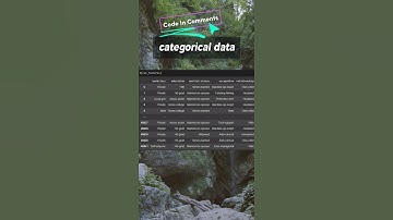 MixedNB | GaussianNB | CategoricalNB