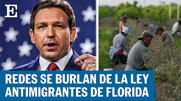 Tiktoks imaginan un 'Florida sin migrantes' por ley antimigrantes de Ron DeSantis | EL PAÍS