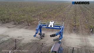 Andros Engineering Pre-Pruner (Dual Head)