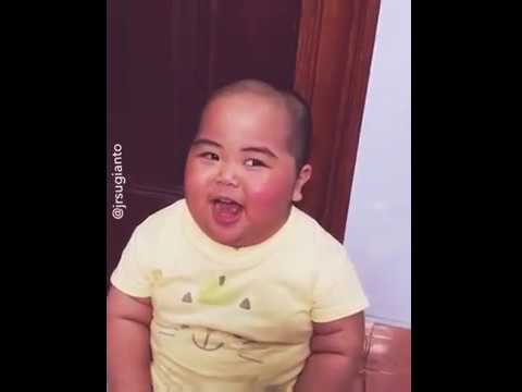 دب يخليك تموت ضحك 