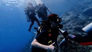 Discovery Divers April 19, 2025 Koh Tao