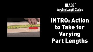Famous BLADE: Determining What Actions to Take for Varying Part Lengths, Series Intro Net Worth