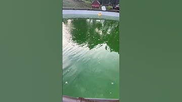 First run on sand filter how good are they find out tomorrow morning if it actually works