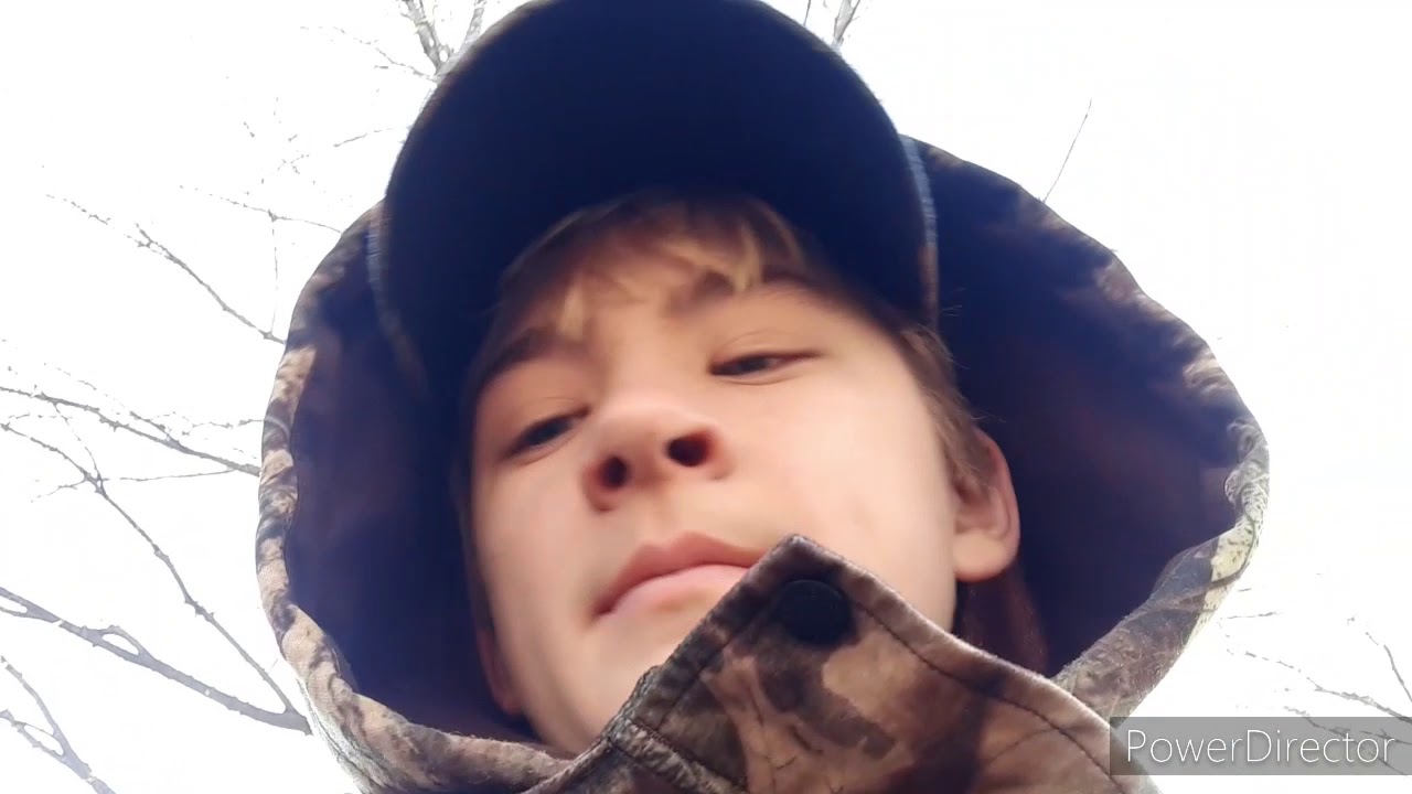 PELLET GUN PEST CONTROL YouTube