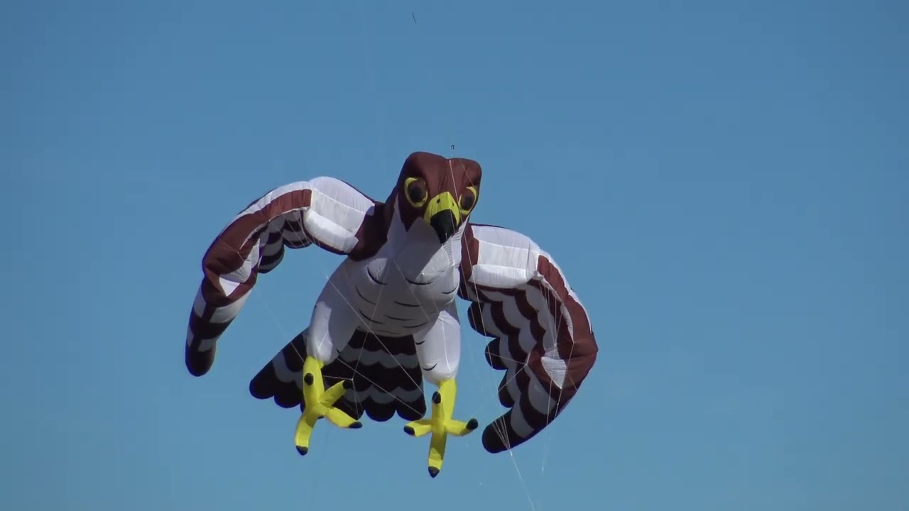 Ein Blick auf das 8. Fuldaer Drachenspektakel - Drachen am Himmel über Fulda-Galerie