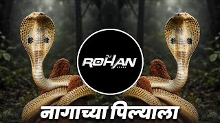 Kallulache Pani Dj Song - Aradhi Mix - नागाच्या पिल्याला Nagachya Pillala | Nag Panchmi DJ Song 2026