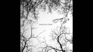 Video thumbnail of "Random Forest - Until The Shadows"