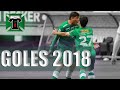 Goles del Club de  Deportes Temuco / 1-2 Rueda Campeonato Scotiabank 2018