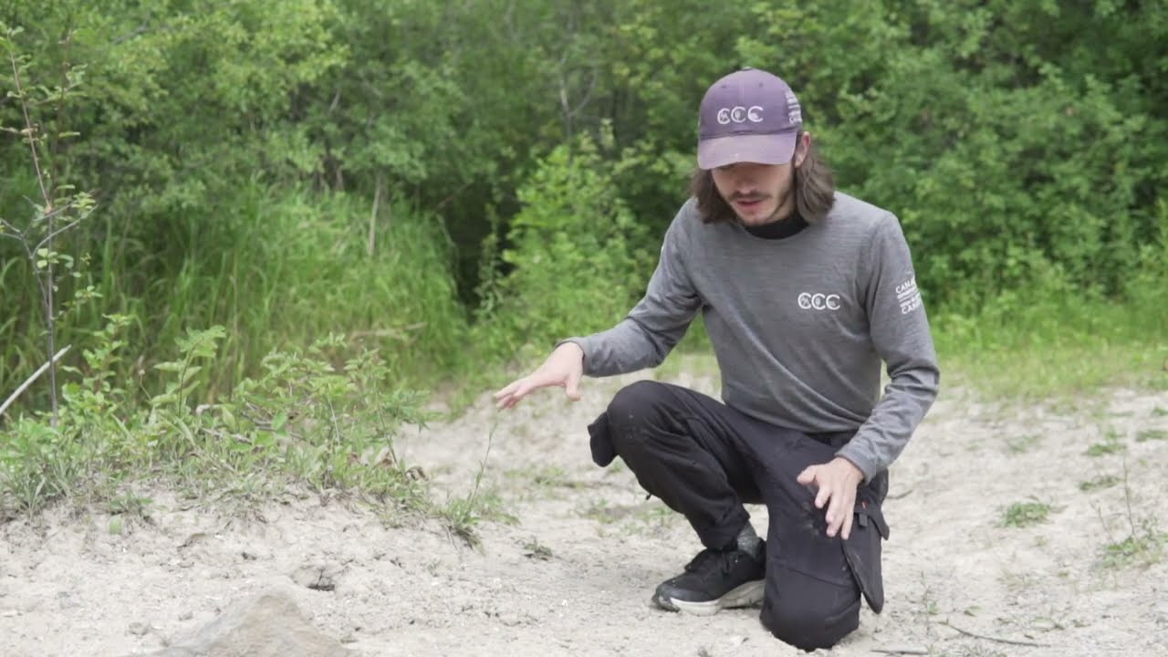 Making A Difference - Nature Conservation In Ontario