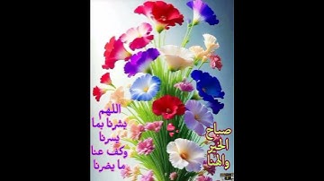 #قرآن حديث وقرآن الجمعة #سورة_الكهف #سعد_الغامدي #رعد_الكردي #اكسبلور #القزابري #تيك_توك #المصحف #f
