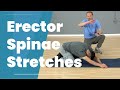 3 erector spinae stretches