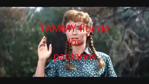 TAMMY flor de los pantanos   HECTOR MAJORANO y su ...