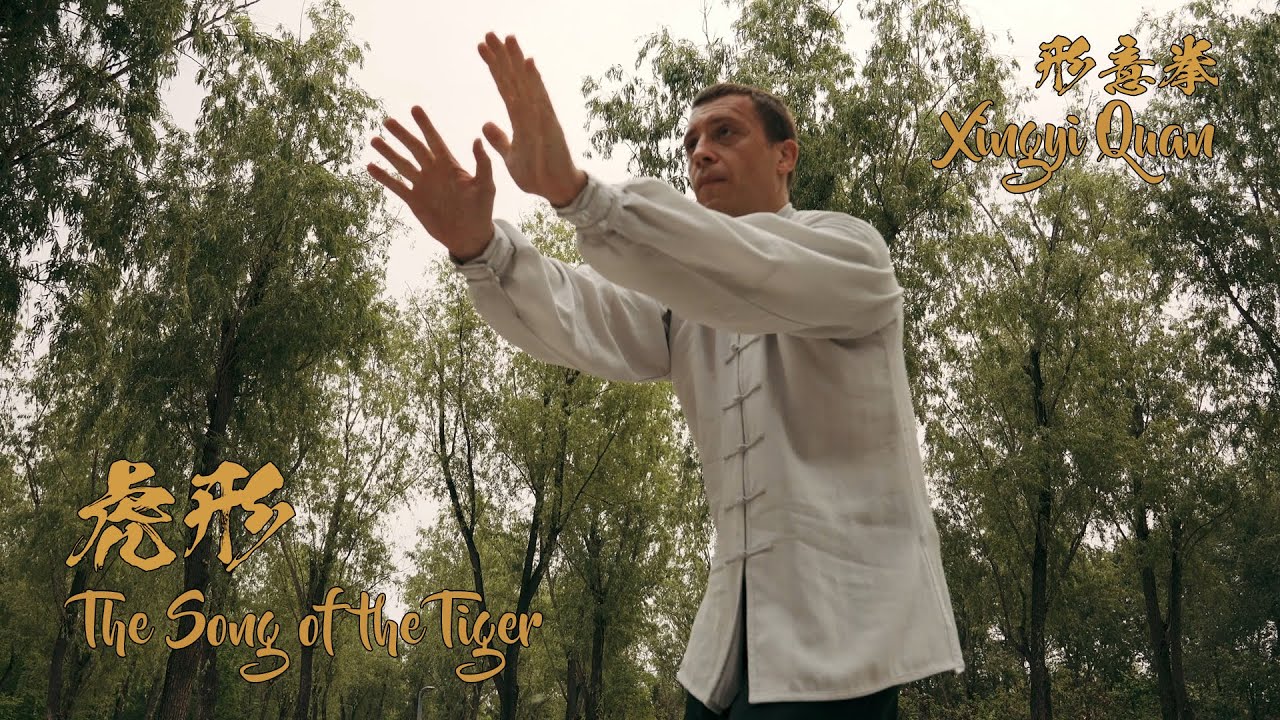 The Song of the Tiger Xingyi Quan 河北形意拳虎形 YouTube