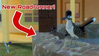 THEY HAVE FINALLY ADDED A ROADRUNNER IN FEATHER FAMILY AND IT’S AMAZING!!!