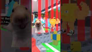 Odindindun Madindindun Stealing Bacon Newbie True Education