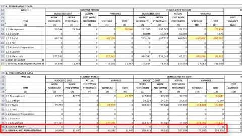 Deltek Cobra 8 Report Definitions