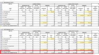 Deltek Cobra 8 Report Definitions