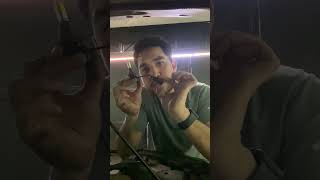 Halógeno 🆚 LED #automobile #autos #consejos #tips