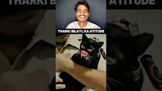 Funny Cat Talking to Owner 😂 Crazy Reaction #shorts #cat #animalshorts