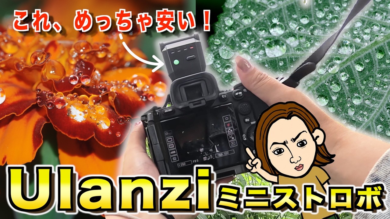 SONY α7V】I Bought a Super Cheap Mini Strobe from Ulanzi! Ulanzi