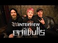 Capture de la vidéo Interview Mit Andy & Moik | Emil Bulls