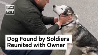 Dog & Owner Reunited After Being Separated in Ukraine #Shorts