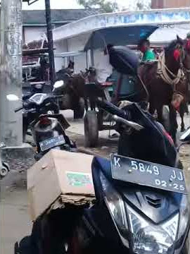 Delman /dokar masih eksis ditahun 2021 pasar selo tawangharjo grobogan..transportasi tempo dulu