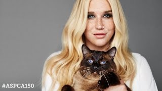 Join the ASPCA's 150 Days of Rescue Campaign