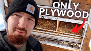 QUICK And EASY One Piece Of Plywood Nesting Box