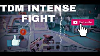 . Tdm Intense Fight