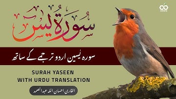 Surah Yaseen سورة يس Tarjuma Ke Sath | Quran Tilawat with Urdu & Hindi Tarjuma | Holy Quran